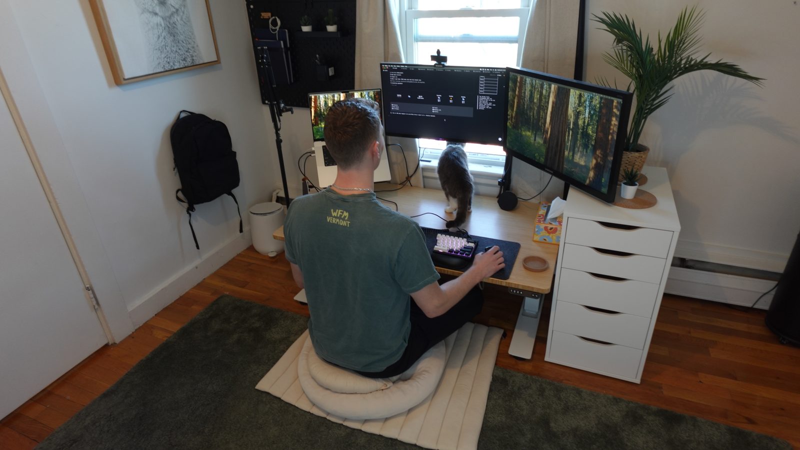 Working from the floor cushion at a low desk while a cat walks across the desktop.